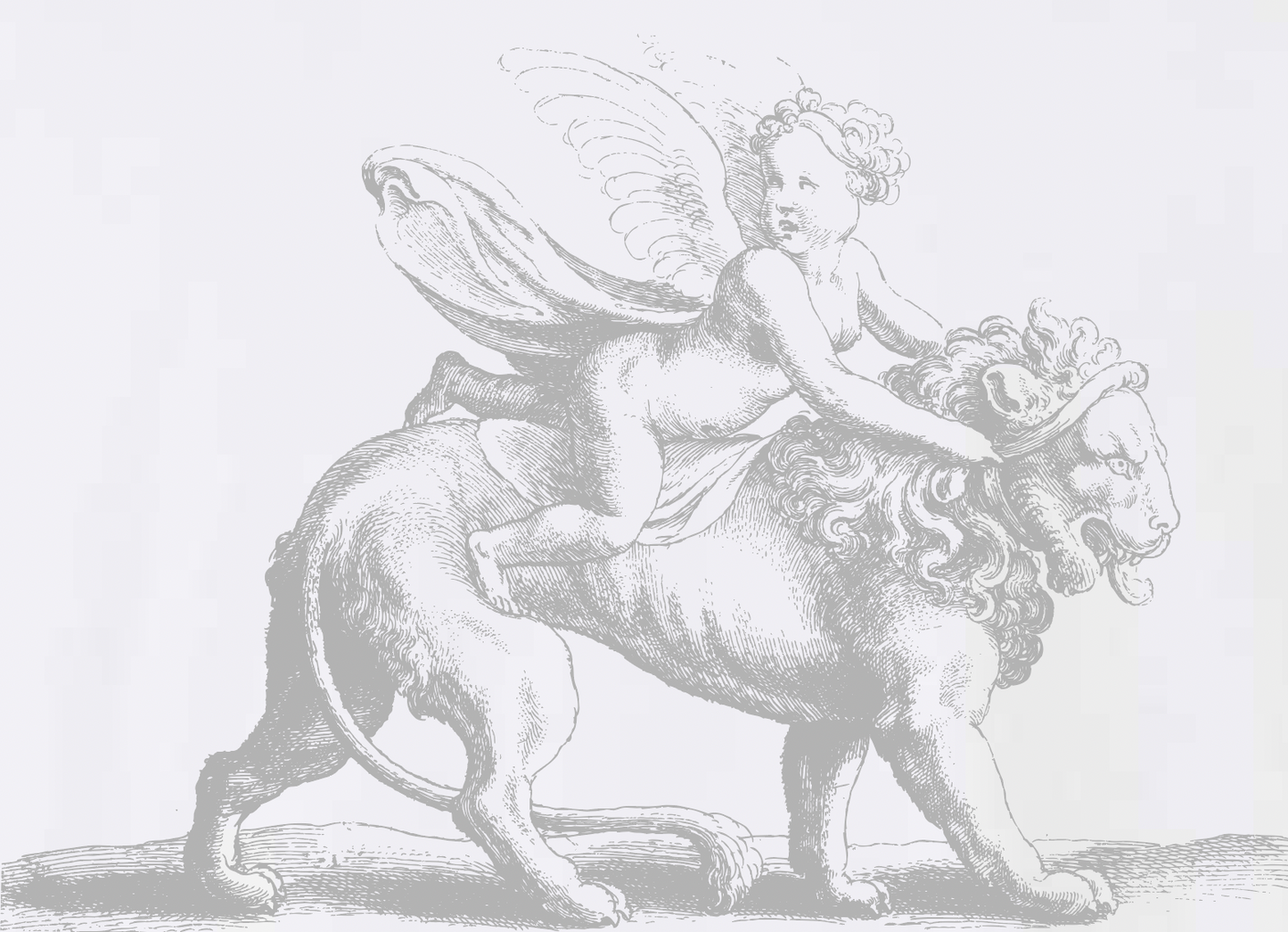 "CUPID" Heavyweight Drop Shoulder T-shirt